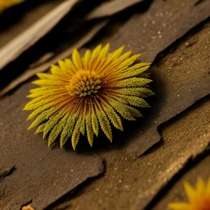 Vibrant Yellow Sea Urchin and Herb