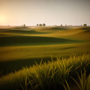 Sunset over a golden dune landscape.