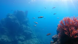 Colorful Tropical Ocean Coral Reef Diving Scene Underwater