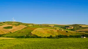 Summer landscape with cereal fields and sunny sky