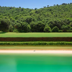 Serene Rural Landscape with Green Grass and Trees