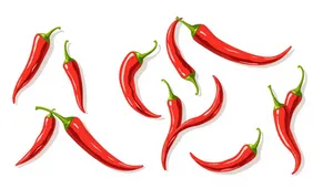 Graphic symbol icon of sweet pepper design