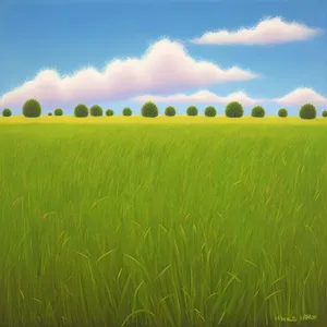 Vibrant summer meadow beneath a clear blue sky