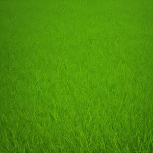 Fresh Green Meadow Texture - Lush Summer Field