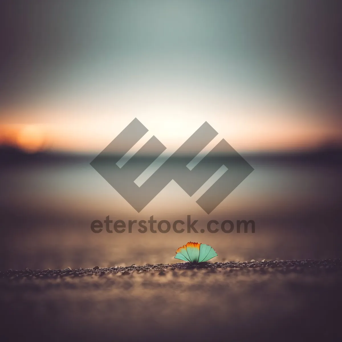 Picture of Stunning Sunset over Serene Ocean Waves