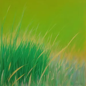 Vibrant Wheat Meadow Under the Bright Sun