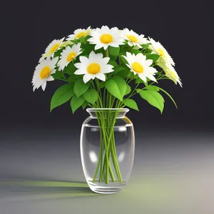 Bright Daisy Blossom in Vase: Summer Floral Arrangement