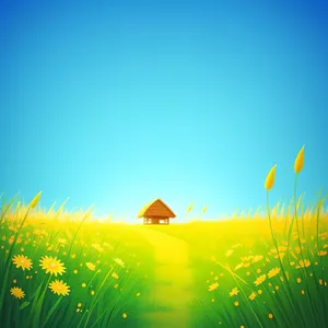 Vibrant Summer Meadow with Sunny Sky