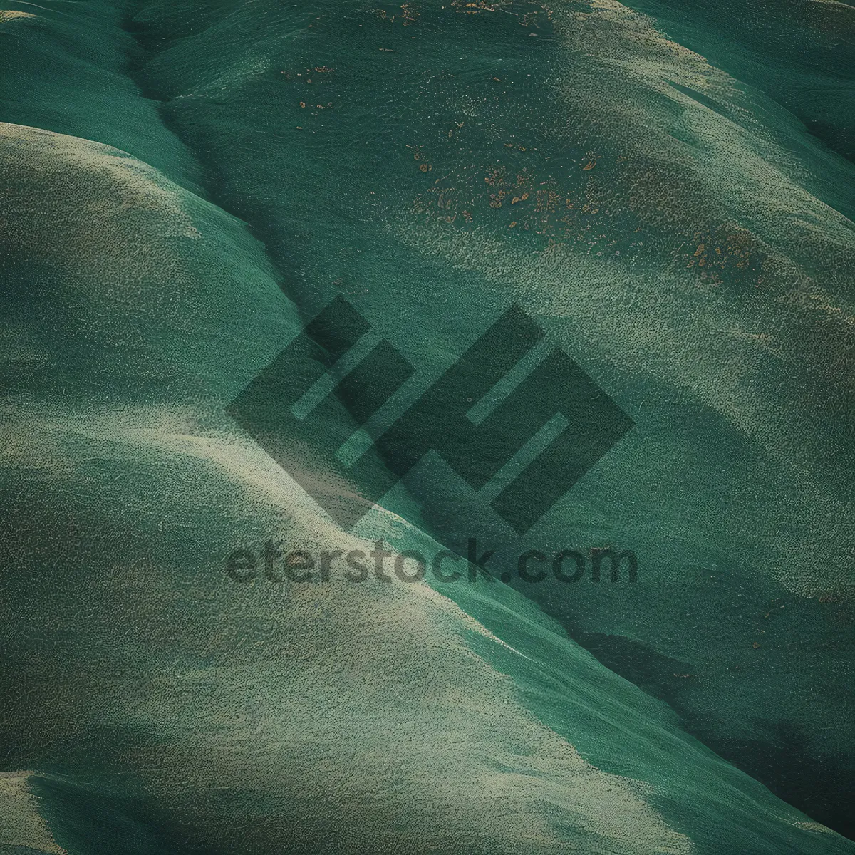 Picture of Silk-textured fabric water mammal in sea.