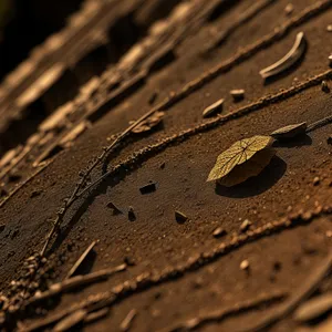 Rustic Sandstone Manhole Cover Texture