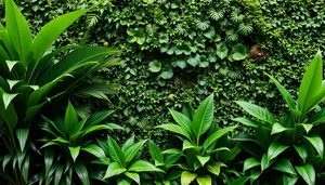 Tropical foliage in lush forest garden