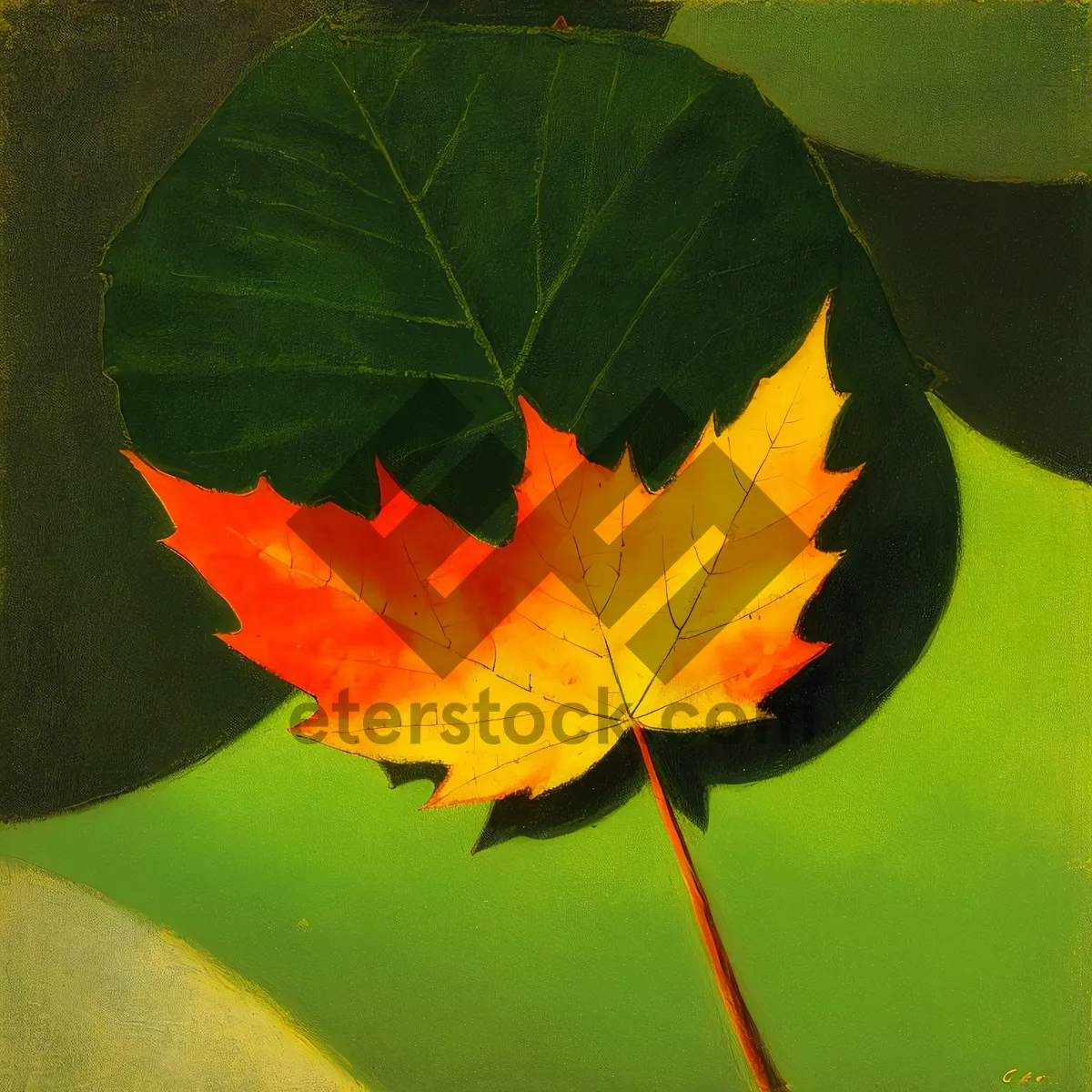 Picture of Vibrant Autumn Maple Leaf in Garden