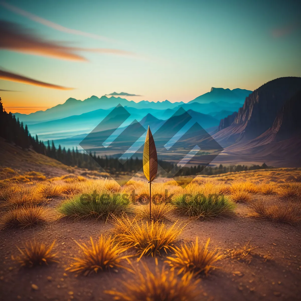 Picture of Majestic Desert Sunset with Cactus and Mountains