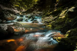 Autumn Falls in the Wilderness - Scenic River Landscape