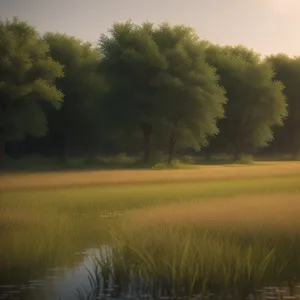 Serene Rural Landscape Under a Blue Sky