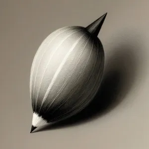 Bulbous Onion Snail: Delicate Gastropod Invertebrate