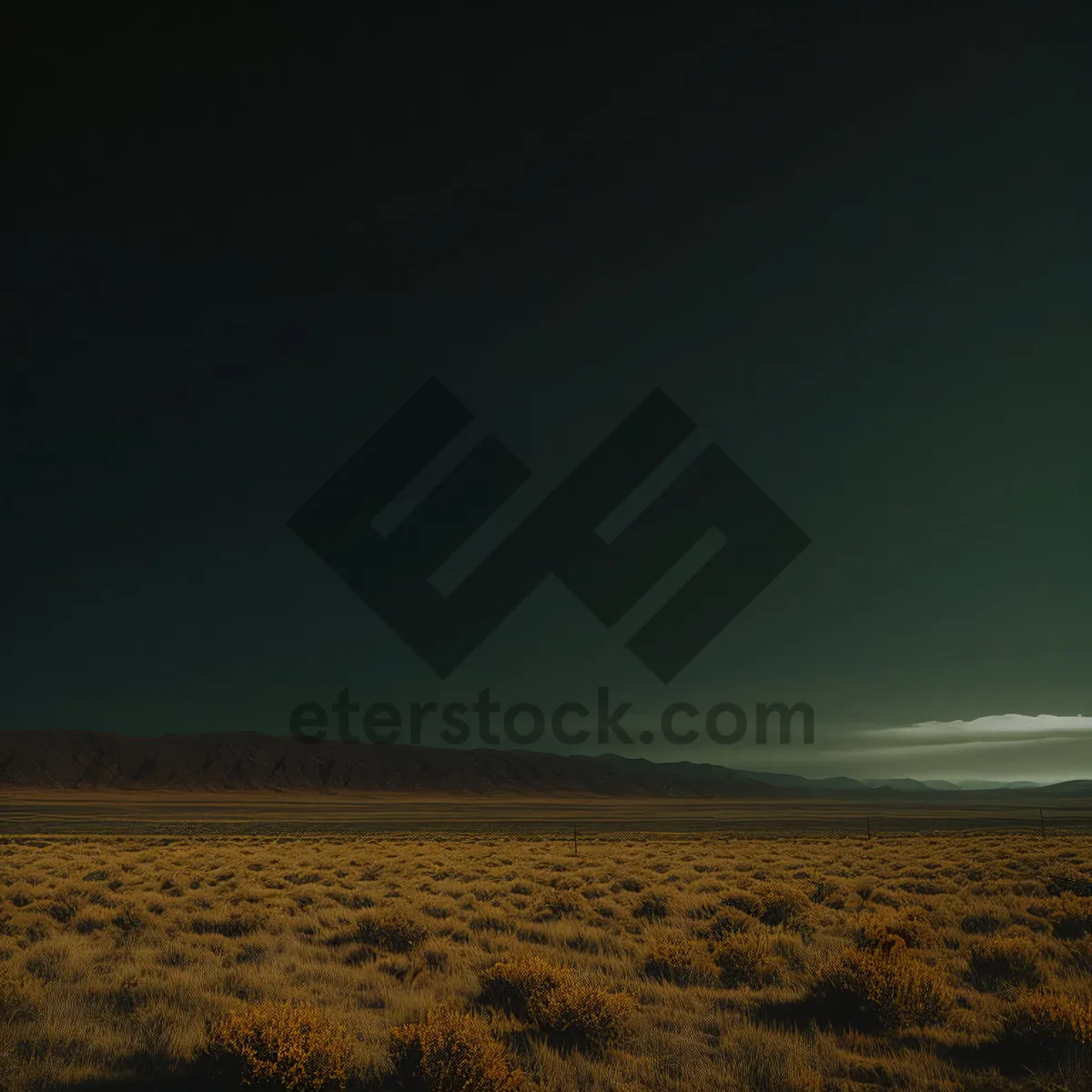 Picture of Vast Serene Plain under Sunset Sky