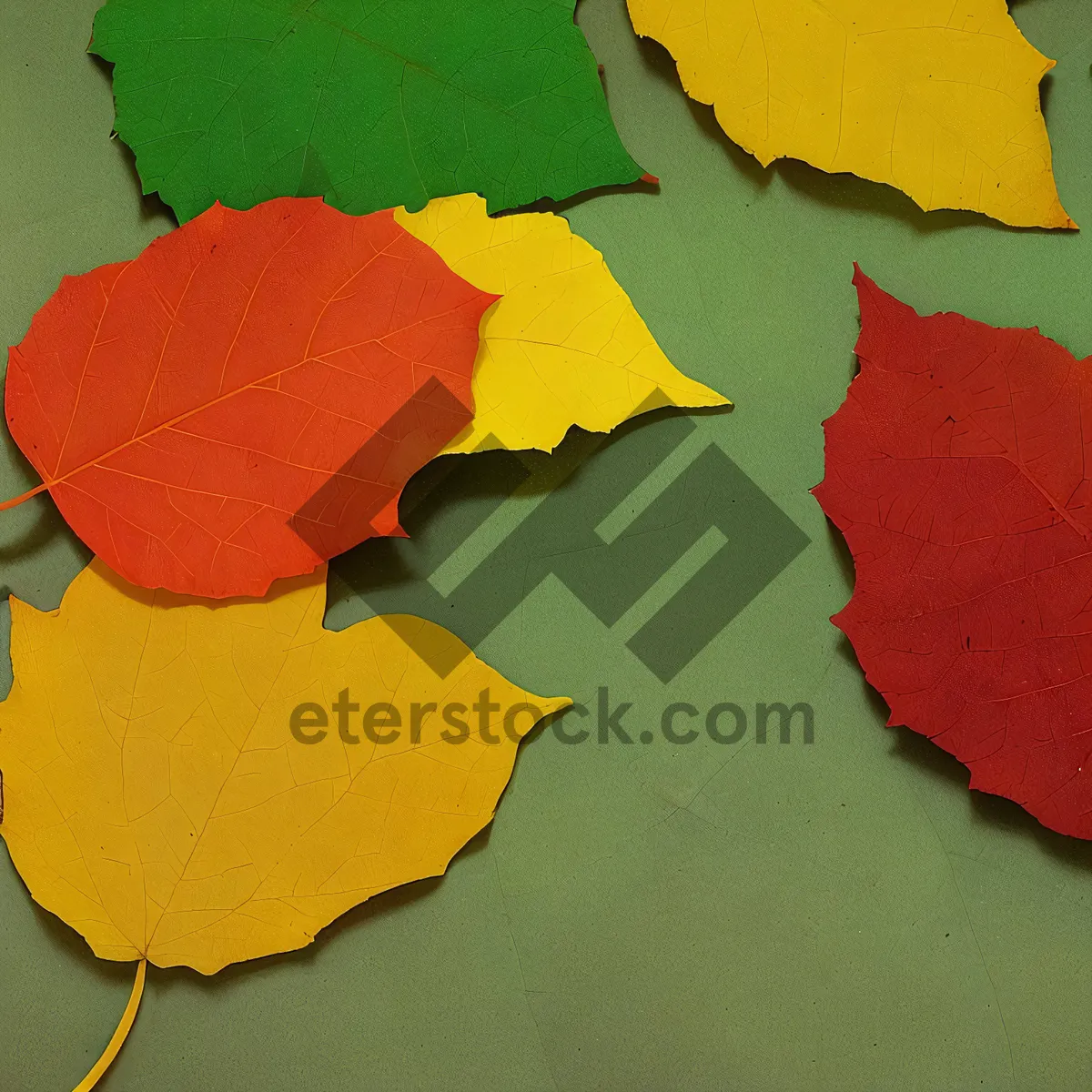 Picture of Autumn Foliage Map in Orange and Yellow