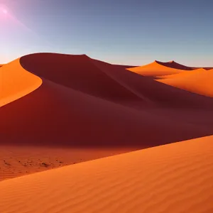 Serenity of the Saharan Sands