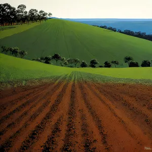 Rural Farm Landscape Under Sunny Sky