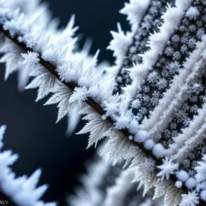 Winter Wonderland: Frosty Tree Branch in Snowy Forest