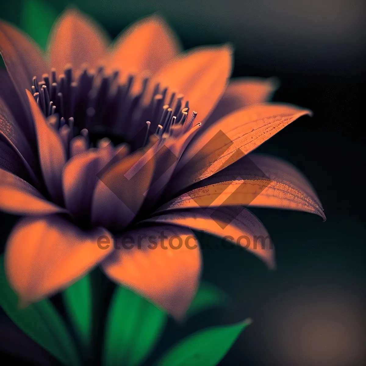 Picture of Vibrant Yellow Lily Petal Pinwheel in Blossom