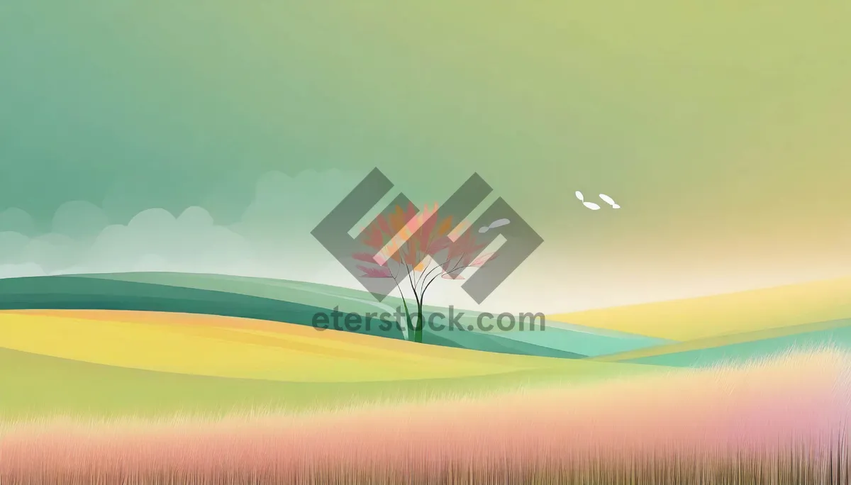 Picture of Colorful Summer Sky Landscape with Dandelion and Wheat