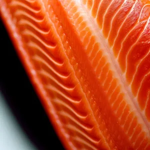 Fresh Citrus Salmon Steak - Healthy Seafood Delight