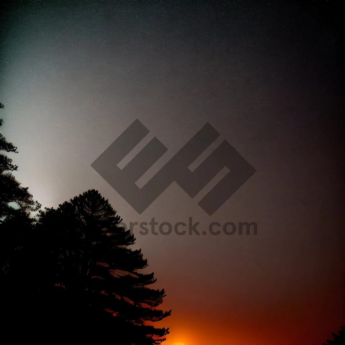 Picture of Golden Horizon: Brilliant Sun Setting Behind Silhouetted Trees