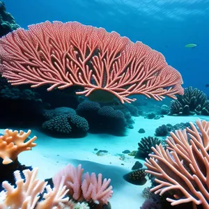 Colorful Coral Reef Underwater Adventure