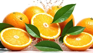 Fresh Citrus Slices - Healthy Breakfast Option