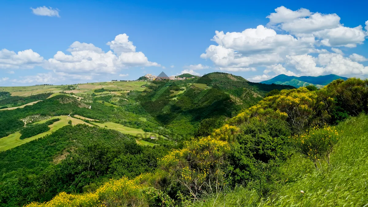 Picture of Mountain landscape with trees under cloudy sky.