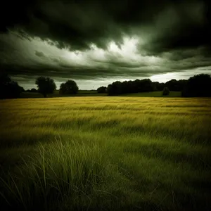 Serene Rural Landscape with Blue Sky and Rolling Fields