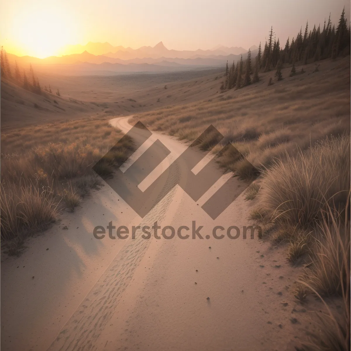 Picture of Serenity in the Desert: Road to Sunset