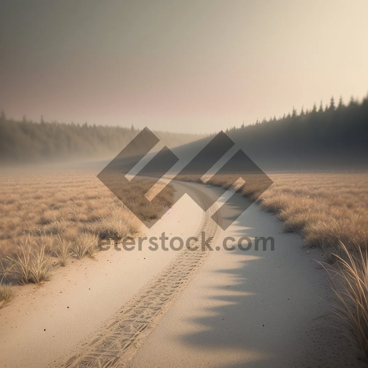 Picture of Sunny Coastal Highway with Scenic Dunes