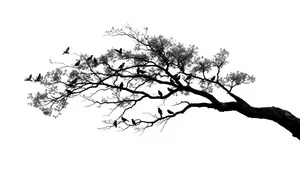 Silhouette of Oak Tree Branches Against Spring Sky