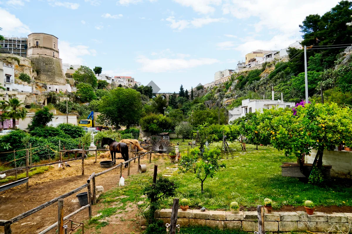 Picture of Scenic mountain river in picturesque village garden landscape