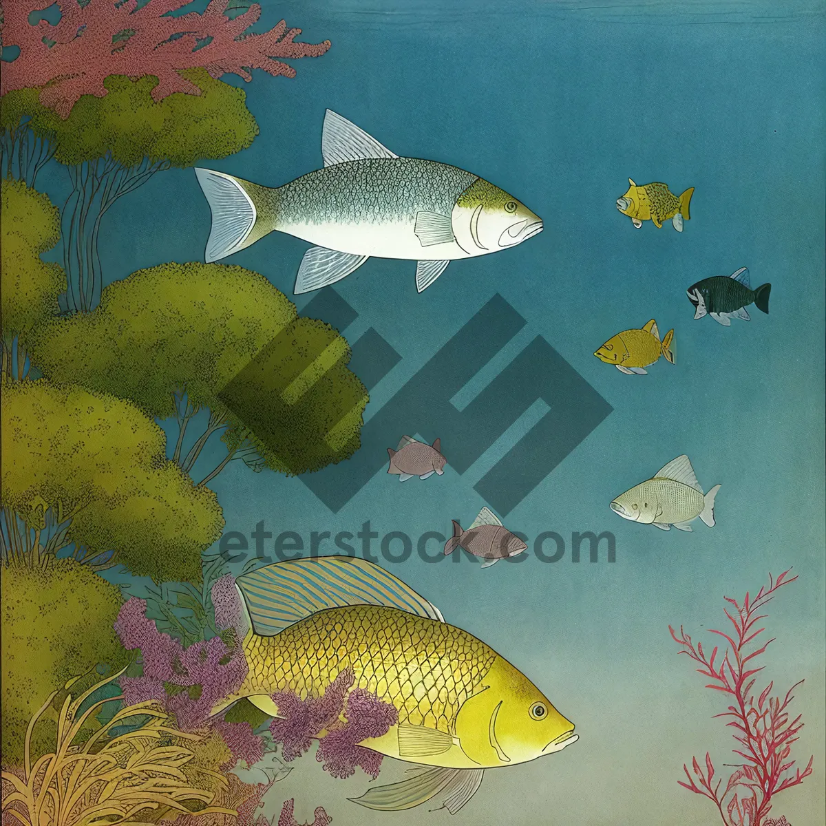 Picture of Tropical Orange Fish Swimming in Coral Reef