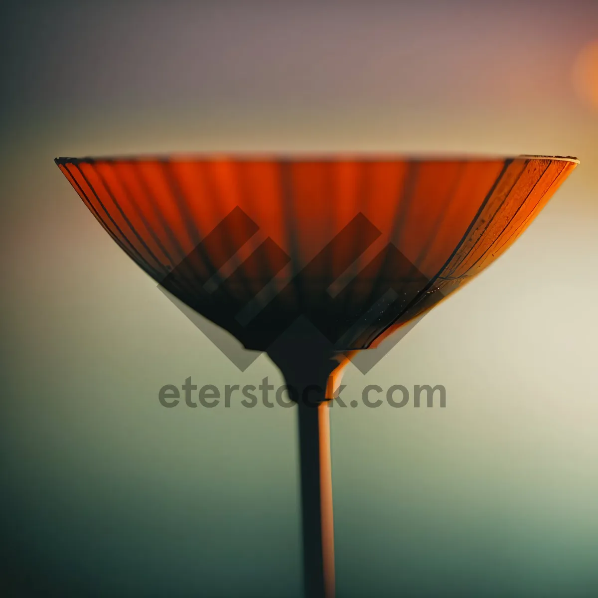 Picture of Crystal Wine Martini in Elegant Glass