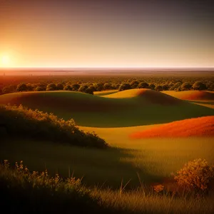 Golden Horizon: Sunset Beachscape over the Sea