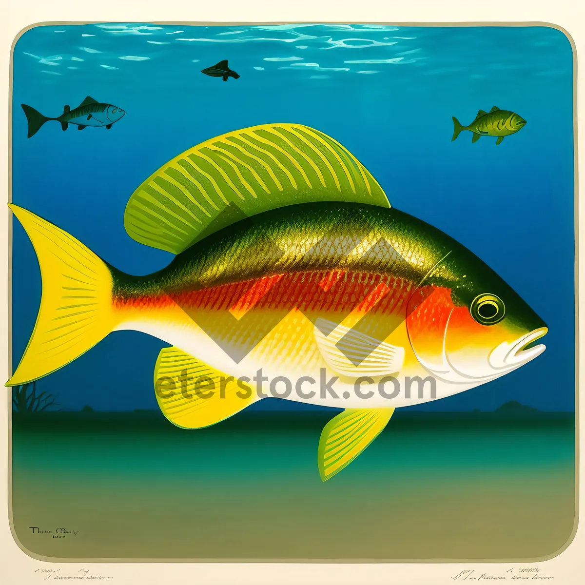 Picture of Tropical Goldfish Swimming in Ocean Water