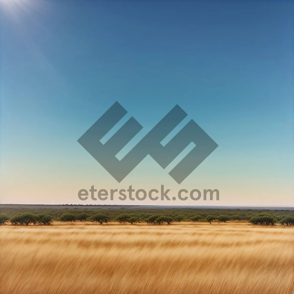 Picture of Vibrant Autumn Landscape with Rolling Fields