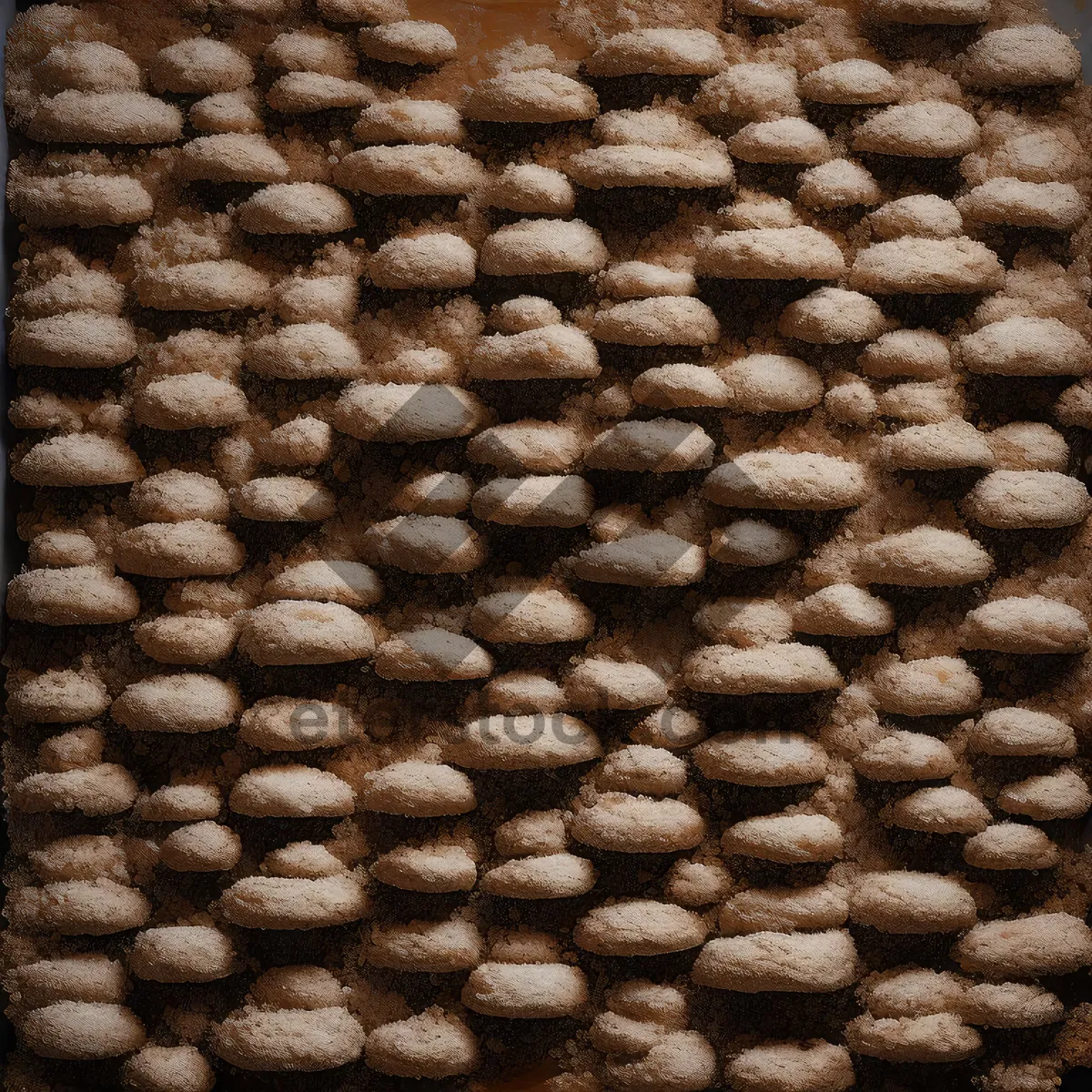 Picture of Close-up of black beans and lentils, textured pattern.