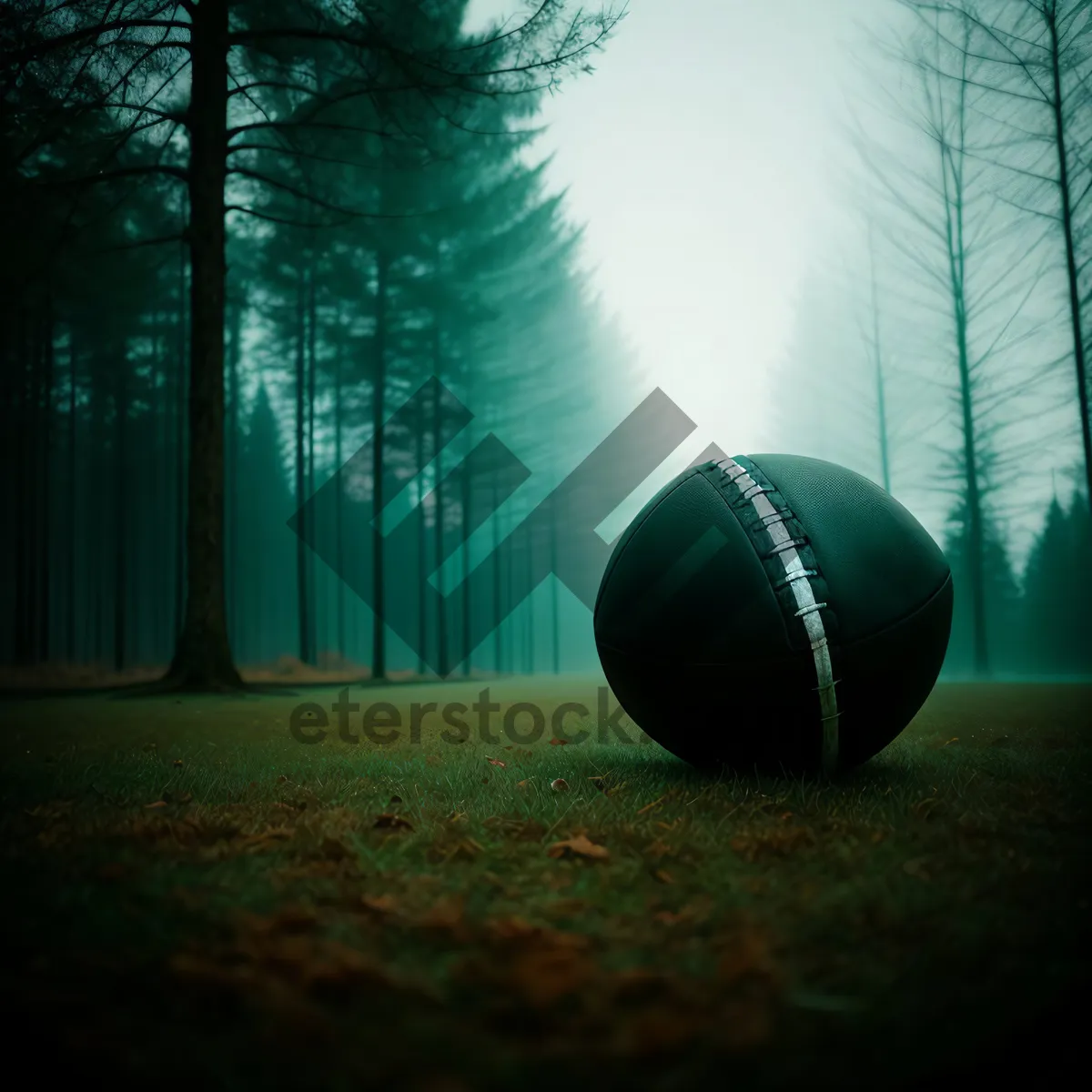 Picture of World Cup Soccer Ball on Grass Field