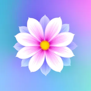 Pink Lotus Petals: Vibrant Floral Blossom in Summer