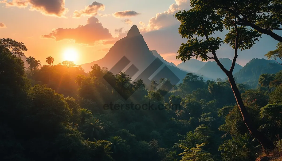 Picture of Autumn Skyline in National Park Mountains