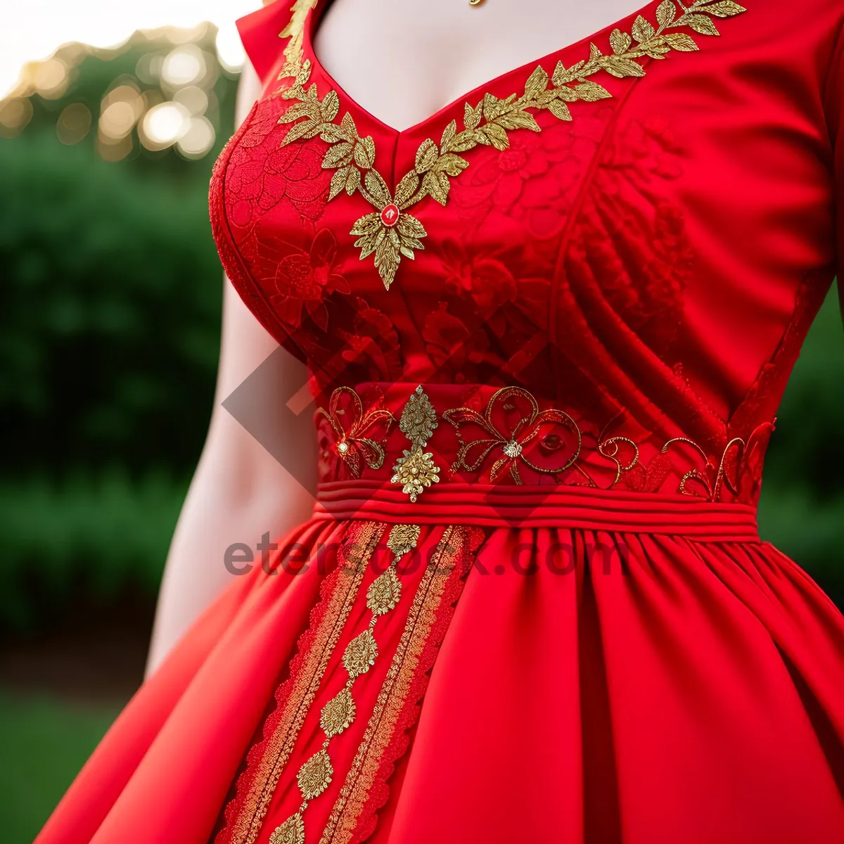 Picture of Pretty brunette lady in lovely embroidered dress