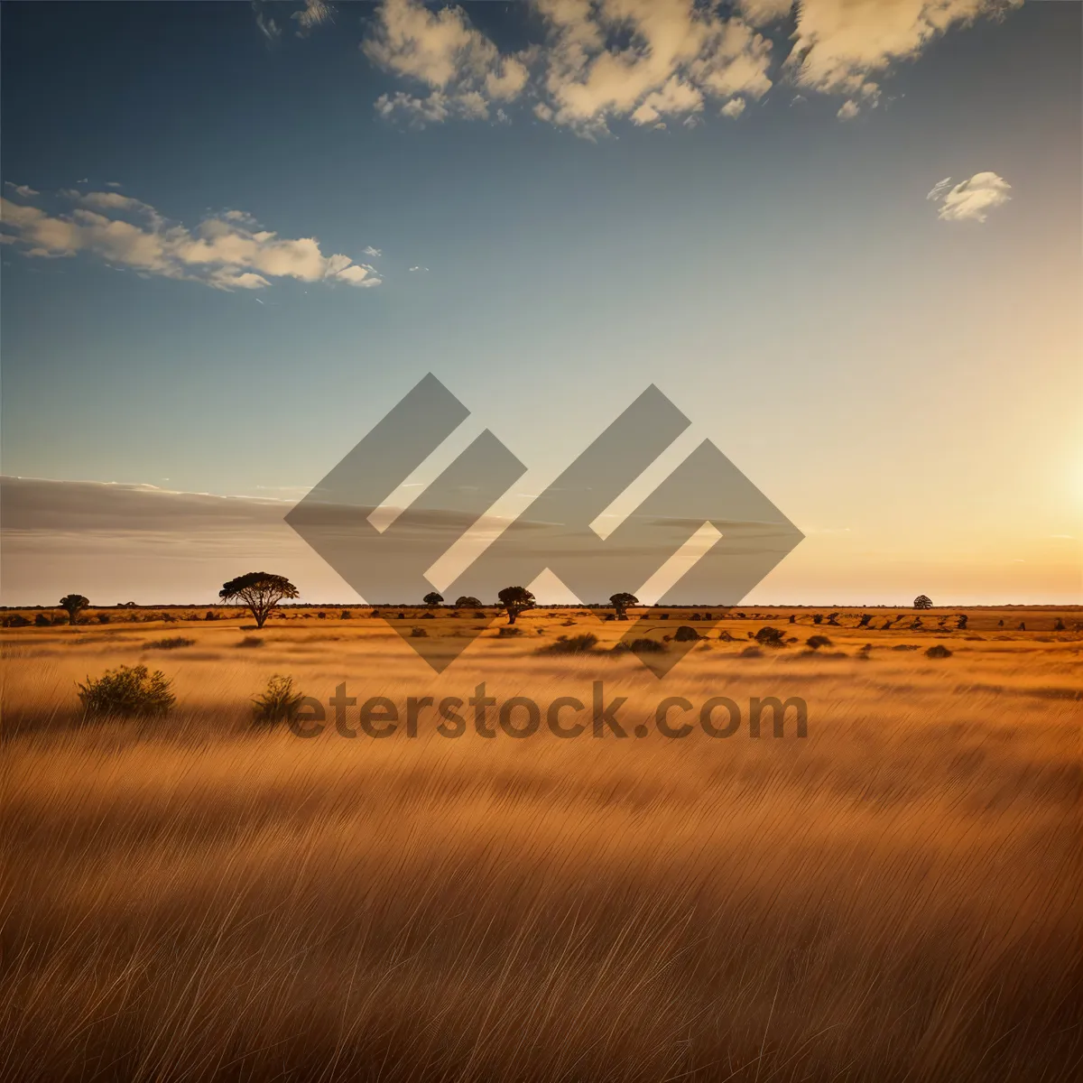 Picture of Golden Dune Sunset Over Desert Landscape