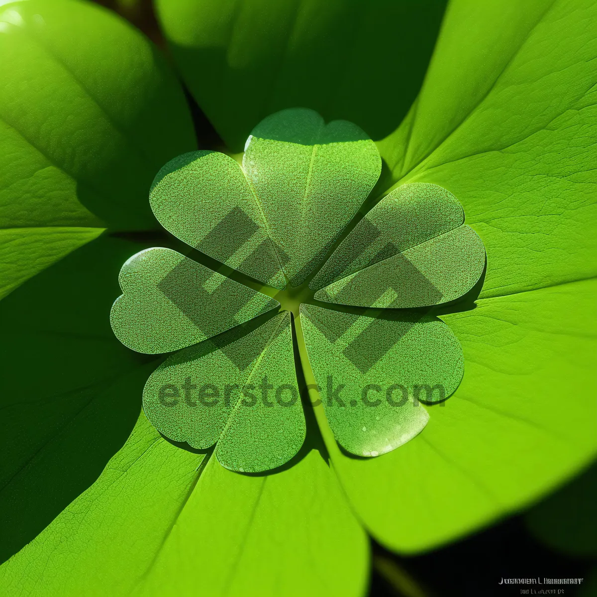 Picture of Lush Forest Foliage with Bright Leaves