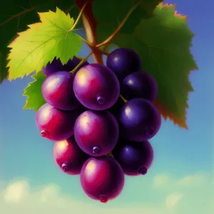 Fresh and Juicy Cherry Grape Cluster